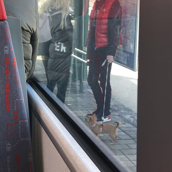 Riitelyä ratikkapysäkillä?! Nuori superpari Sonja Aiello ja William bongattiin viileissä tunnelmissa Helsingissä: paljonpuhuvat paparazzikuvat julki! Sonja Aiello William