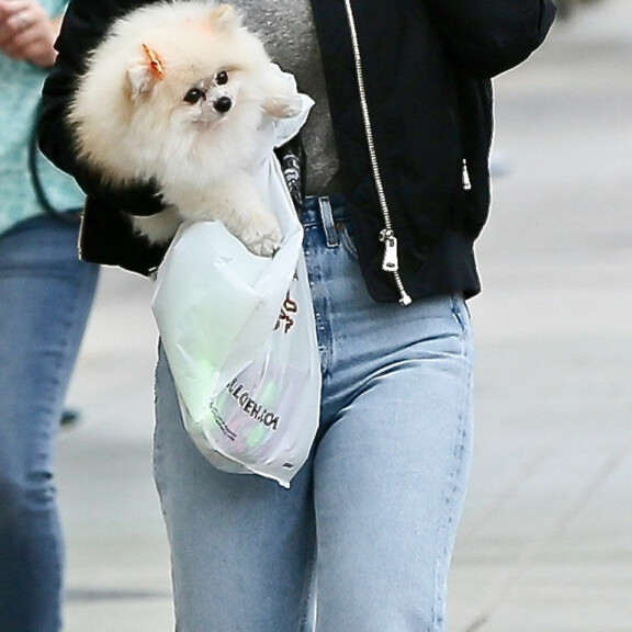 Laulajakaunotar kantoi koiraansa shoppailusession jälkeen Los Angelesissa lokakuussa 2020. kelly osbourne