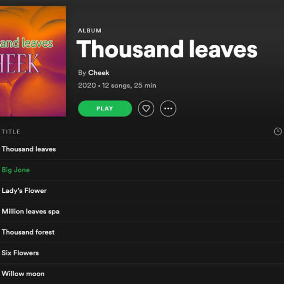 Tältä näytti Cheek-nimisen jazz-artistin Thousand Leaves -albumi uransa lopettaneen suomalaisräppärin Spotify-tilillä keskiviikkona 8. heinäkuuta 2020. Kuvakaappaus Cheekin Spofity-tililtä. Tältä näytti Cheek-nimisen jazz-artistin Thousand Leaves -albumi uransa lopettaneen suomalaisräppärin Spotify-tilillä keskiviikkona 8. heinäkuuta 2020. Kuvakaappaus Cheekin Spofity-tililtä.