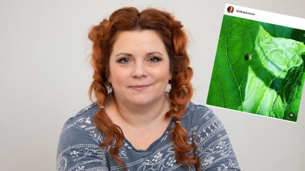 Täh, Putous-voittaja tilasi itselleen eläviä leppäkerttuja! Oliko järkeä? Kiti Kokkonen