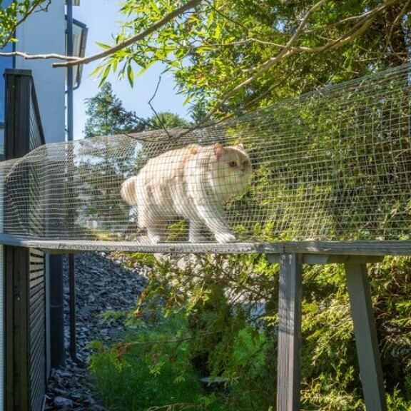 – Pätkis on varsinainen linssilude, Jutta kertoo. – Pätkis on varsinainen linssilude, Jutta kertoo.