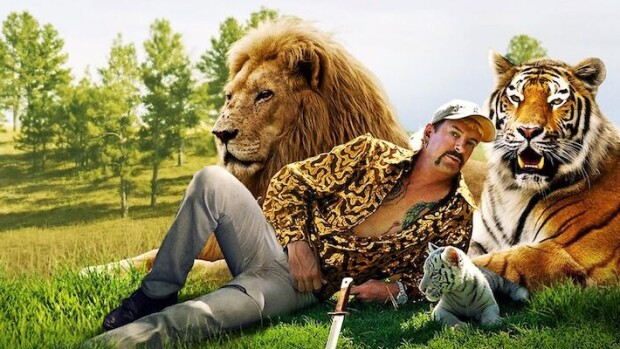 Kesän bikinitrendi on selvillä - eläinkuosin suosion syy on Netflixin Tiger King! Tiger King on ollut kevään puhutuin dokkari.