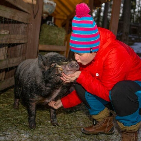 Marjo kertoo, että possut ovat herkkiä ja älykkäitä eläimiä. Marjo kertoo, että possut ovat herkkiä ja älykkäitä eläimiä.