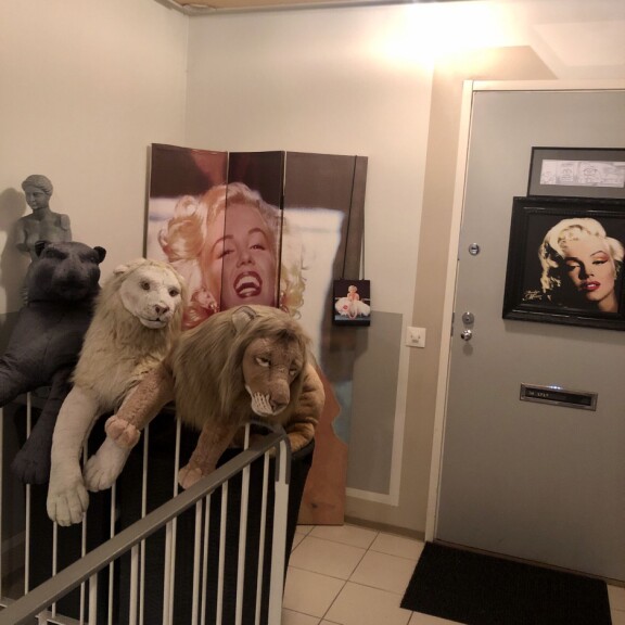Oululainen porraskäytävä on vuorattu pehmoleluilla ja Marilyn Monroen kuvilla. Lyly Rajalan kotiovi lienee yksi Suomen erikoisimmista. Oululainen porraskäytävä on vuorattu pehmoleluilla ja Marilyn Monroen kuvilla. Lyly Rajalan kotiovi lienee yksi Suomen erikoisimmista.