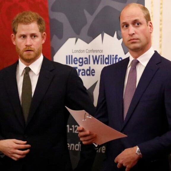 Prinssiveljekset Harry ja William ilmoittivat yhdessä medialle, ettei heidän välillään ole eripuraa. Prinssiveljekset Harry ja William ilmoittivat yhdessä medialle, ettei heidän välillään ole eripuraa.