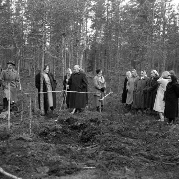 Kyllikin ruumis löytyi viisi kuukautta katoamisen jälkeen suohaudasta. Kyllikin ruumis löytyi viisi kuukautta katoamisen jälkeen suohaudasta.