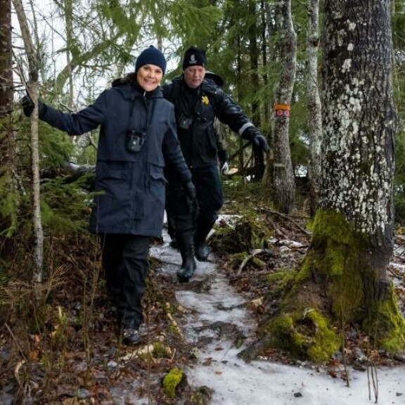 Victoria otti puusta tukea liukkaassa mäessä. kruununprinsessa victoria
