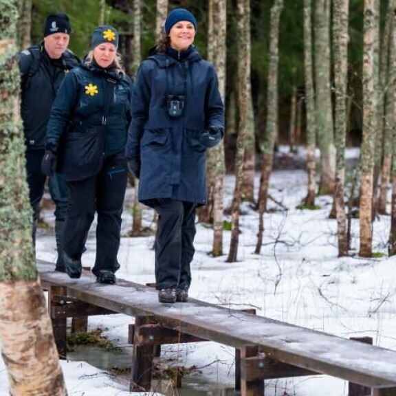 Kruununprinsessa tarpoi varmoin askelin jäisillä pitkospuilla. kruununprinsessa Victoria