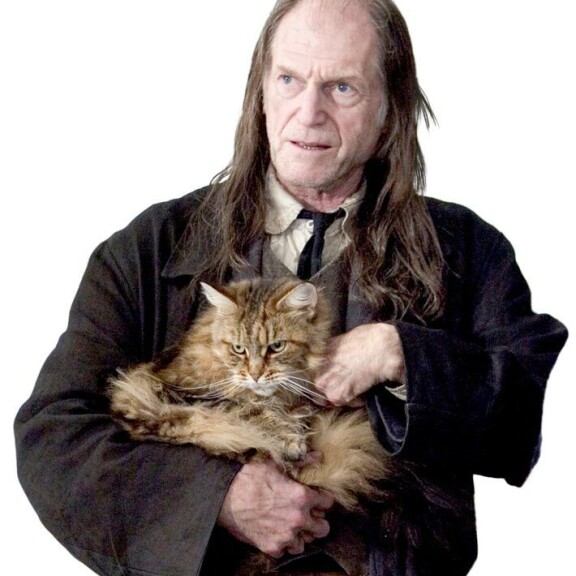 Yleisö hurmaantui Harry Potterista valkokankaalla 20 vuotta sitten – mitä Tylypahkan tähdille kuuluu nykyään? David Bradley