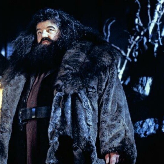 Yleisö hurmaantui Harry Potterista valkokankaalla 20 vuotta sitten – mitä Tylypahkan tähdille kuuluu nykyään? Robbie