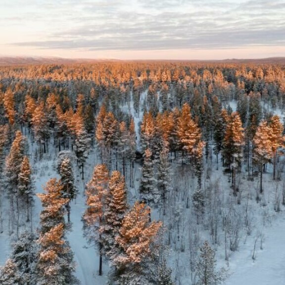 Syytetty väitti olleensa tapahtuma-aikana 300 kilometrin päässä mökillä. Kuvituskuva. Syytetty väitti olleensa tapahtuma-aikana 300 kilometrin päässä mökillä. Kuvituskuva.