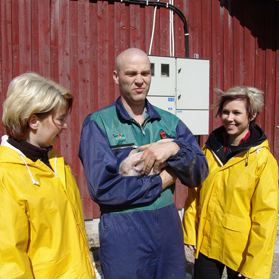 Suosion huipulla. Harri sai ohjelman alussa (vuonna 2006) toista sataa kirjettä morsianehdokkailta. Maajussi Harri