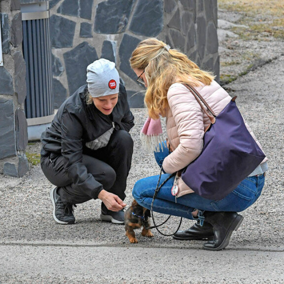 Laura pysähtyi juttelemaan ihmisille sekä silitteli näiden koiria. Laura pysähtyi juttelemaan ihmisille sekä silitteli näiden koiria.