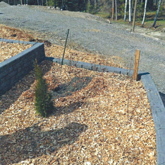 Aarnion rahakätkön viereen oli jo ennen toisen etsinnän alkua isketty laudanpätkä maahan pystyyn. Oliko lauta laitettu merkiksi kätköpaikasta? Aarnion rahakätkön viereen oli jo ennen toisen etsinnän alkua isketty laudanpätkä maahan pystyyn. Oliko lauta laitettu merkiksi kätköpaikasta?