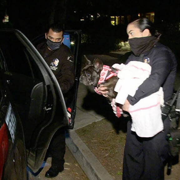 Poliisi löysi Miss Asian harhailemassa rikospaikan läheisyydessä. Lady Gaga Miss Asia