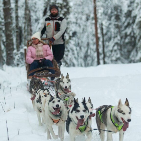 Huskysafarit järjestää Arctic Borealis Huskies. – Lähdemme safareille suoraan eläinpuiston edestä, asiakas saa itse ohjata huskyvaljakkoa, yrittäjä Lionel Clauser kertoo hymyillen. Huskysafarit järjestää Arctic Borealis Huskies. – Lähdemme safareille suoraan eläinpuiston edestä, asiakas saa itse ohjata huskyvaljakkoa, yrittäjä Lionel Clauser kertoo hymyillen.