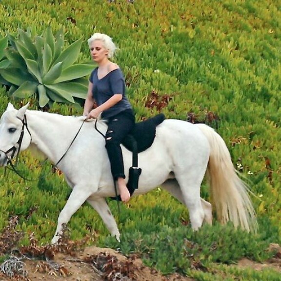 Angelina Jolie antoi Brad Pittille vesiputouksen – ökyrikkaat julkkikset törsäävät joululahjoihin Lady Gaga