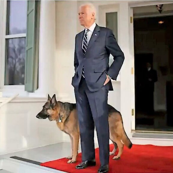 Yhdysvaltojen seuraava presidentti on jätskihullu könsikäs – Seiska selvitti Joe Bidenin taustat! Joe Biden