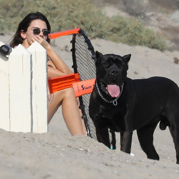 Kendall Jennerin intiimi sessio rannalla tallentui paparazzin kameraan! NBA-tähti Devin Booker puuhaili jalkovälissä ja rintavaossa - paljonpuhuvat kuvat! Kendall Jenner