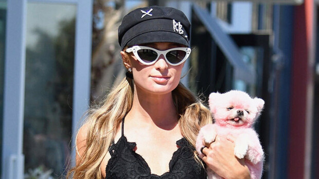 Hollywood-kaunottaret esittelevät seksikästä kesämuotia: kevyet rintsikkatopit ja legginsit - ota tästä mallia! Paris Hilton