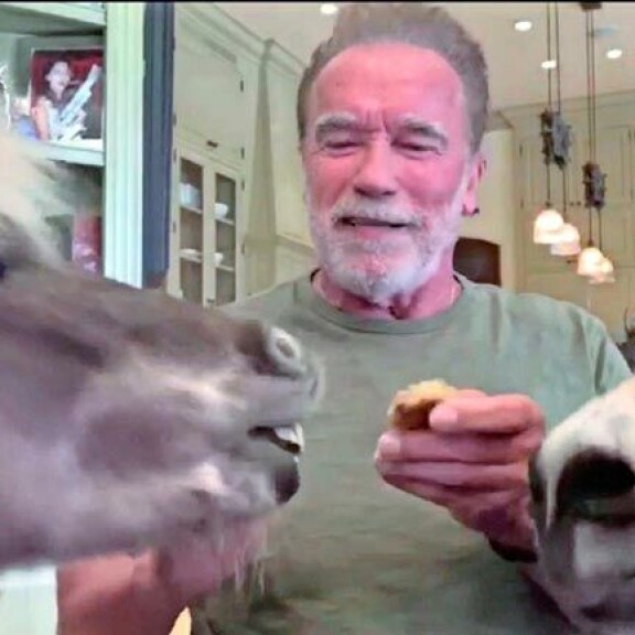 Arnoldin keittiössä kuuluu kokkailun taustalla kahden kokkiapurin pikkukavioiden kopse. Pilkotut porkkanan- palat katoavat nopeasti pöydältä. Arnoldin keittiössä kuuluu kokkailun taustalla kahden kokkiapurin pikkukavioiden kopse. Pilkotut porkkanan- palat katoavat nopeasti pöydältä.