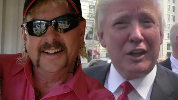 Hittisarja Tiger Kingin vankilassa istuva tähti Joe Exotic vetoaa Trumpiin: 'Armahda minut!' Donald Trump & Joe Exotic