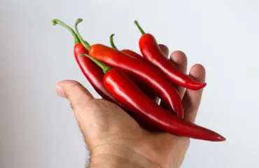 Tämä chilikastike sopii masokisteille - vaikutus jäljittelee hämähäkin myrkkyä!
