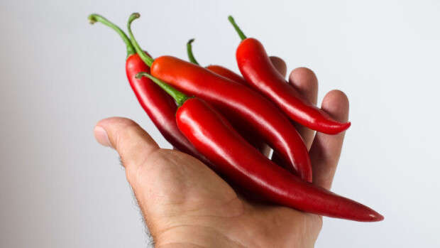 Tämä chilikastike sopii masokisteille - vaikutus jäljittelee hämähäkin myrkkyä! Chilikastike on megatulinen.