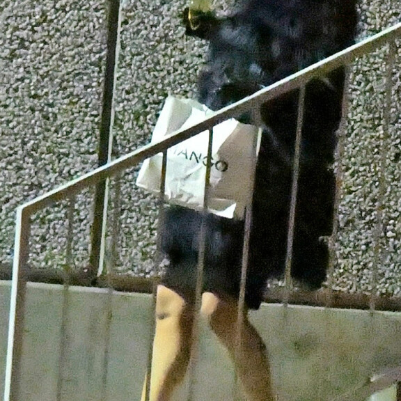 Helena lähti studiolta skumppalasi kädessä pienessä takakenossa. Helena lähti studiolta skumppalasi kädessä pienessä takakenossa.