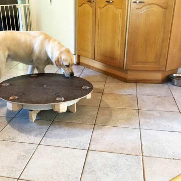 Hessu löytää ludepurkin parissa sekunnissa... Hessu löytää ludepurkin parissa sekunnissa...