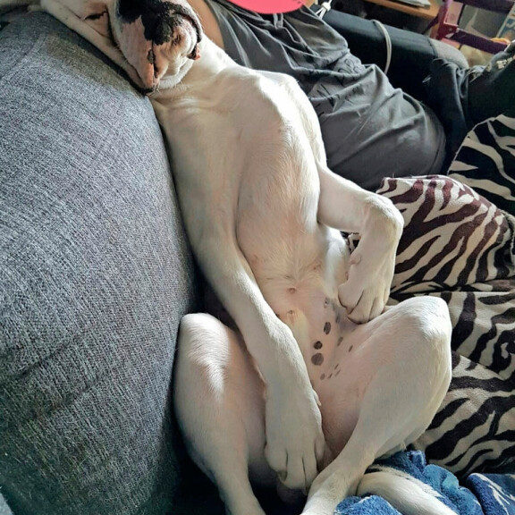 Tällä viehkolla poseerauksella Unto nappasi kisassa murskavoiton. Tällä viehkolla poseerauksella Unto nappasi kisassa murskavoiton.
