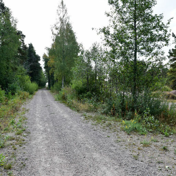 Julkkisten ostamat tontit tulevat tämän tien varteen. Alue on vielä pelkkää ryteikköä. Julkkisten ostamat tontit tulevat tämän tien varteen. Alue on vielä pelkkää ryteikköä.