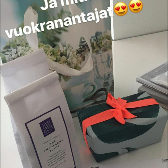 Uniikki ja 16 vuotta nuorempi Mira-rakas: uusi lemmenpesä Helsingin arvoalueelta - kuvat! Uniikki