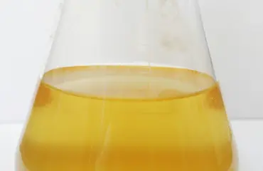 Nainen juo koiran virtsaa parantaakseen aknen! Katso video!