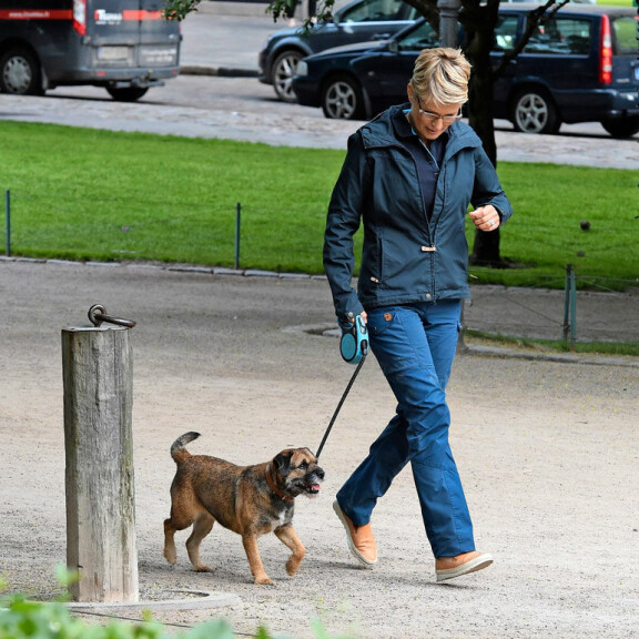 Borderterrieri pysyi kuuliaisesti ex-ministerin rinnalla. Borderterrieri pysyi kuuliaisesti ex-ministerin rinnalla.