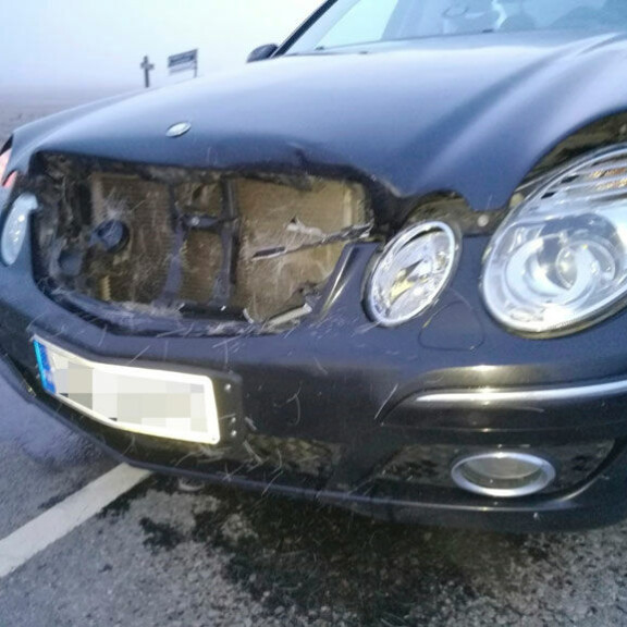 Peurakolari ruttasi auton keulan. Peurakolari ruttasi auton keulan.