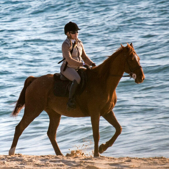 Madonna muutti Lissaboniin, Portugaliin viime syksynä. Vapaa-aikanaan Madonna harrastaa ratsastusta. Madonna muutti Lissaboniin, Portugaliin viime syksynä. Vapaa-aikanaan Madonna harrastaa ratsastusta.