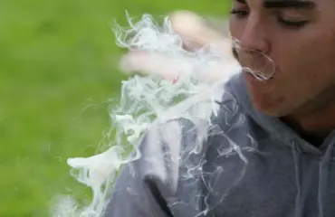 Maailman suurin kannabissätkä huutokaupattiin!