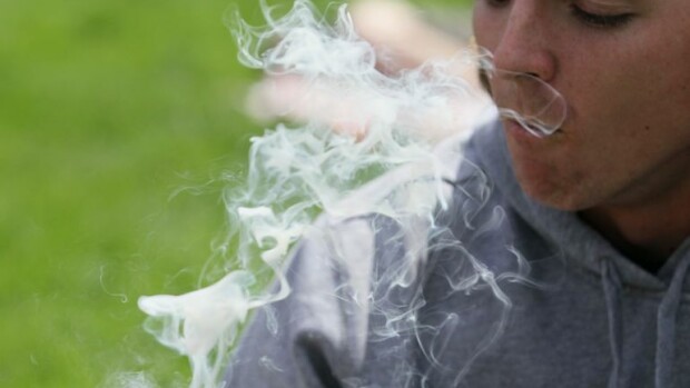 Maailman suurin kannabissätkä huutokaupattiin! Maailman suurin jointti huutokaupattiin.