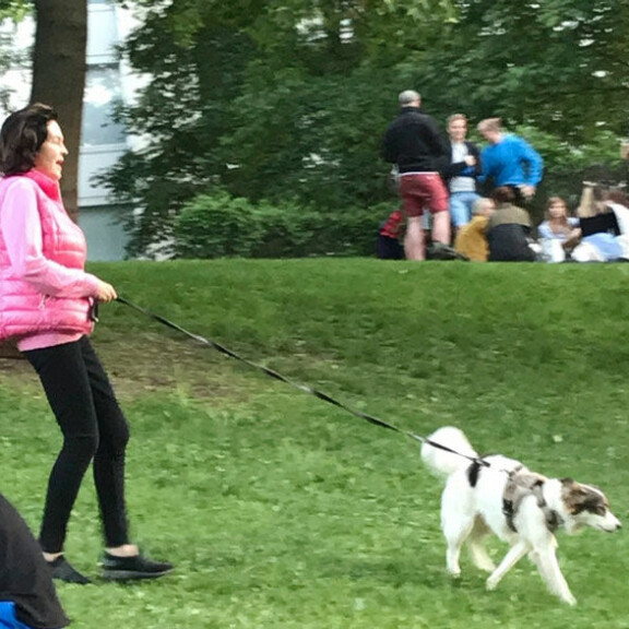 Meikitön Paula Koivuniemi ulkoilutti koiraa: karvakuono laittoi laulajan koetukselle - nuoriso kinui yhteiskuvia! Katso! Paula Koivuniemi ja koira.