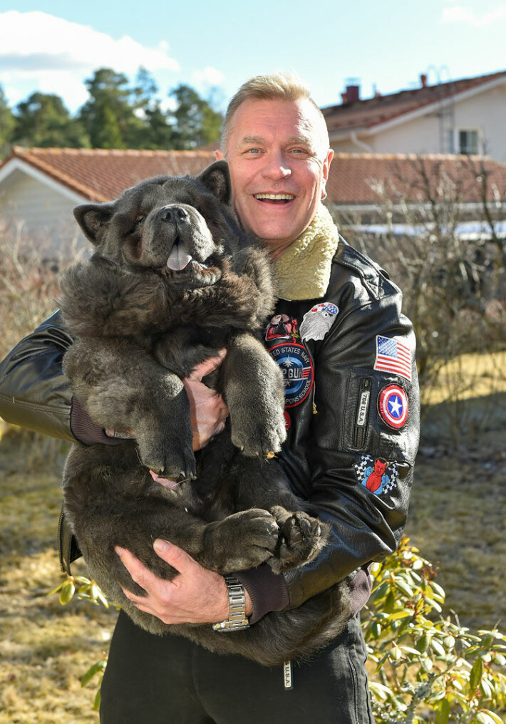 Voi kurjuus! Tauskin suuri suru - Nalle-koira sokeutuu: Olen itkenyt päiväkausia - en pysty edes nukkumaan! Tauski