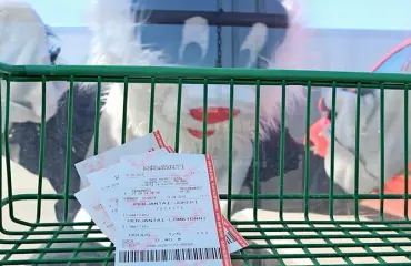 Huhhuh, Loimaan uskomaton 90 miljoonan Eurojackpot-voitto lunastettiin kuukausien huhumyllyn jälkeen – mitä tapahtui lottokupongille? ”Ei sentään koira syönyt!”