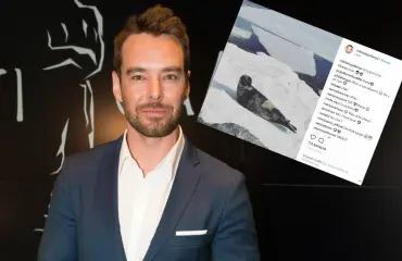 Mikko Leppilampi julkaisi supersuloisen eläinvideon: pieni hylje lötkötteli helsinkiläisravintolan edustalla – katso!