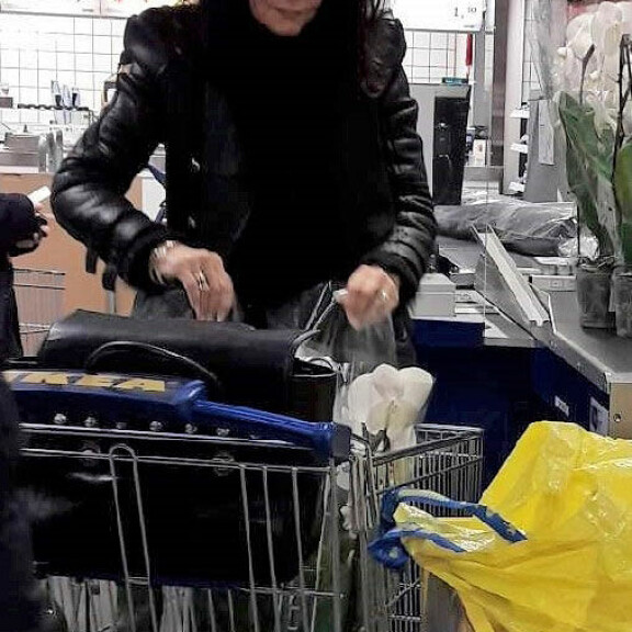 Kaarina Kivilahti hamstrasi orkideoita Ikeassa – kuva! Kaarina Kivilahti Ikeassa.