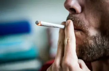 Työntekijät parantavat tuottavuuttaan kannabiksella!