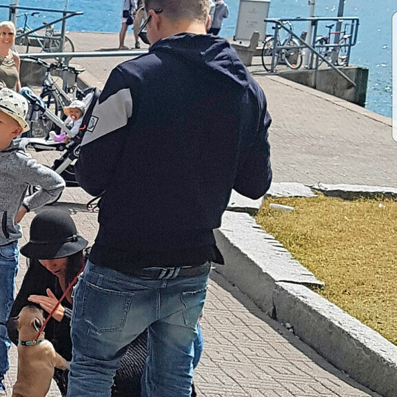 Kumpi on valtakunnan ykköskoira? Cheekin Otus ja Sauli Niinistön Lennu vertailussa – kovapää ja lenkkihirmu! Otus kävelyllä.