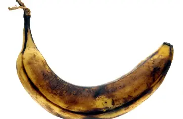Nämä olivat viime vuoden kamalimmat penisuutiset!