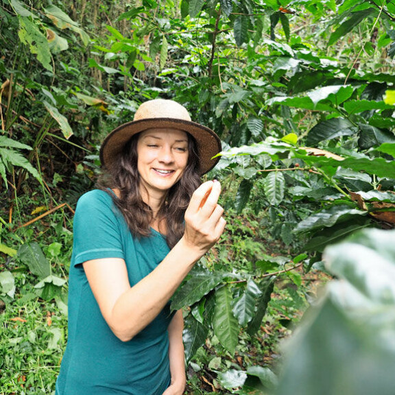 Tonttikauppojen mukana Kirsi sai myös kahvipensaita. Tonttikauppojen mukana Kirsi sai myös kahvipensaita.