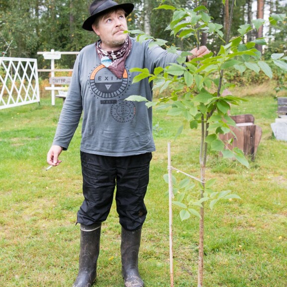 Jyrkin palopaikalle on istutettu saarnipuu muistna tragediasta. Jyrkin palopaikalle on istutettu saarnipuu muistoksi selviämisestä.