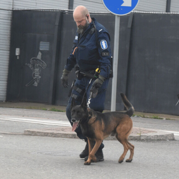 Koira kävi nuuhkimassa kerhotalon. poliisikoira